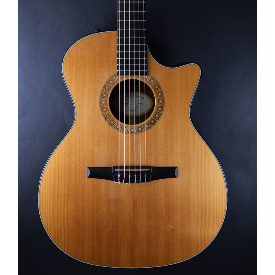 Taylor NS34CE