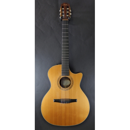 Taylor NS34CE