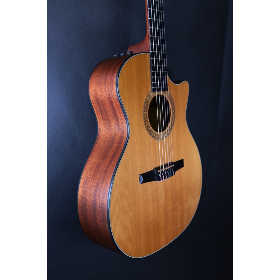 Taylor NS34CE Nylon Bj2011