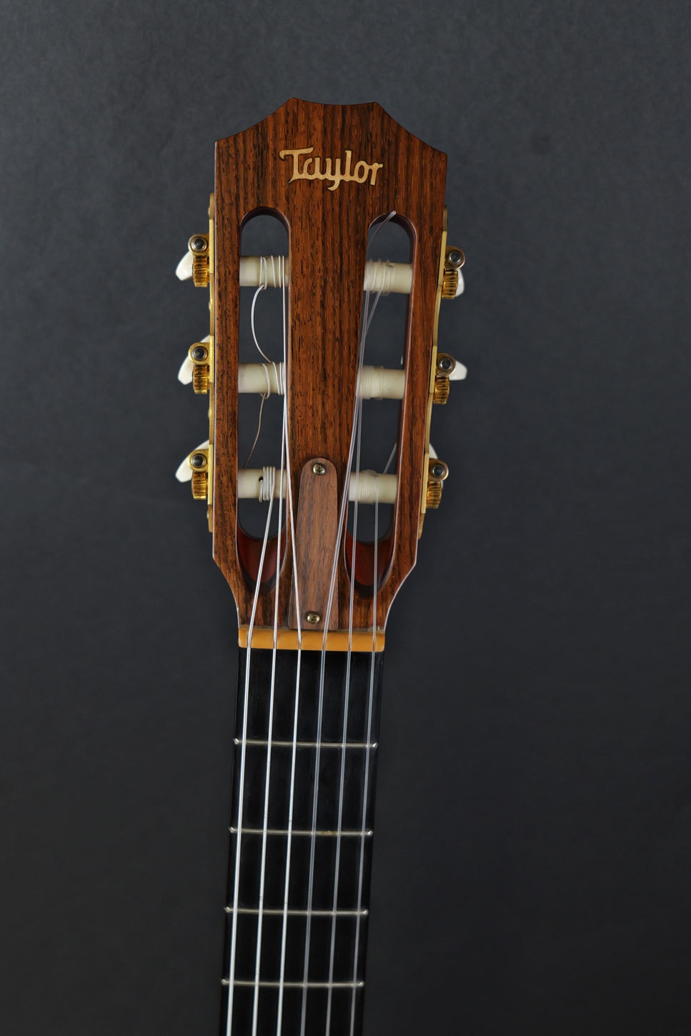 Taylor NS34CE Nylon Bj2011