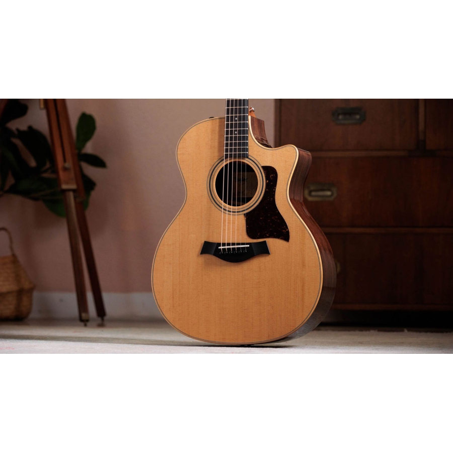 Taylor 414ce Studio Natural