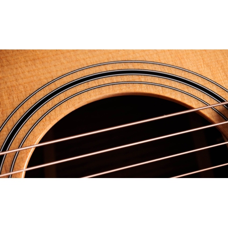 Taylor 414ce Studio Natural