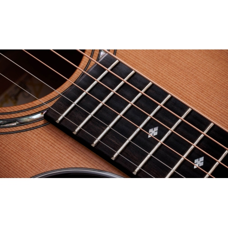 Taylor 514ce Legacy