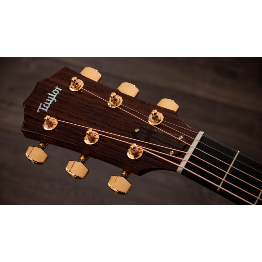 Taylor 514ce Legacy