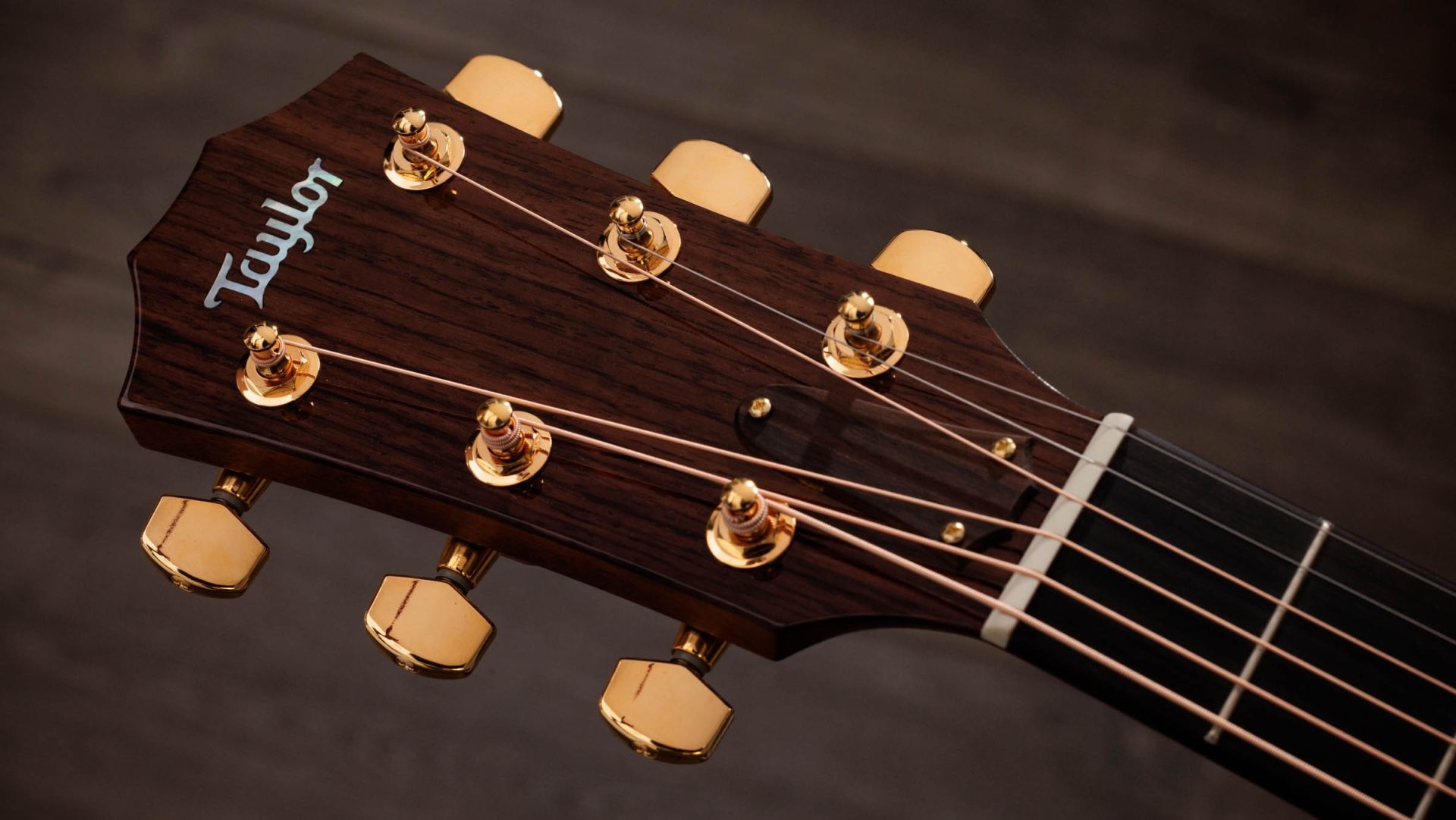 Taylor 514ce Legacy