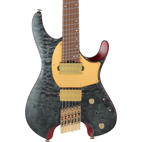 Ibanez MGFM10 OBL