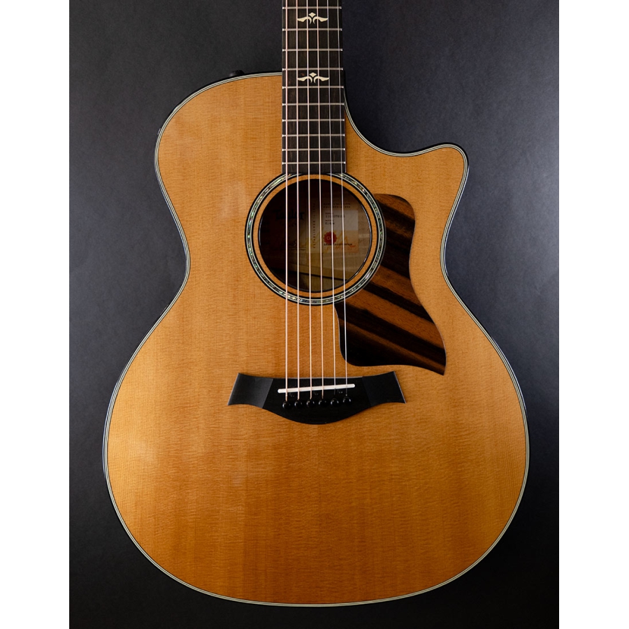 Taylor 614CE V-Class bracing