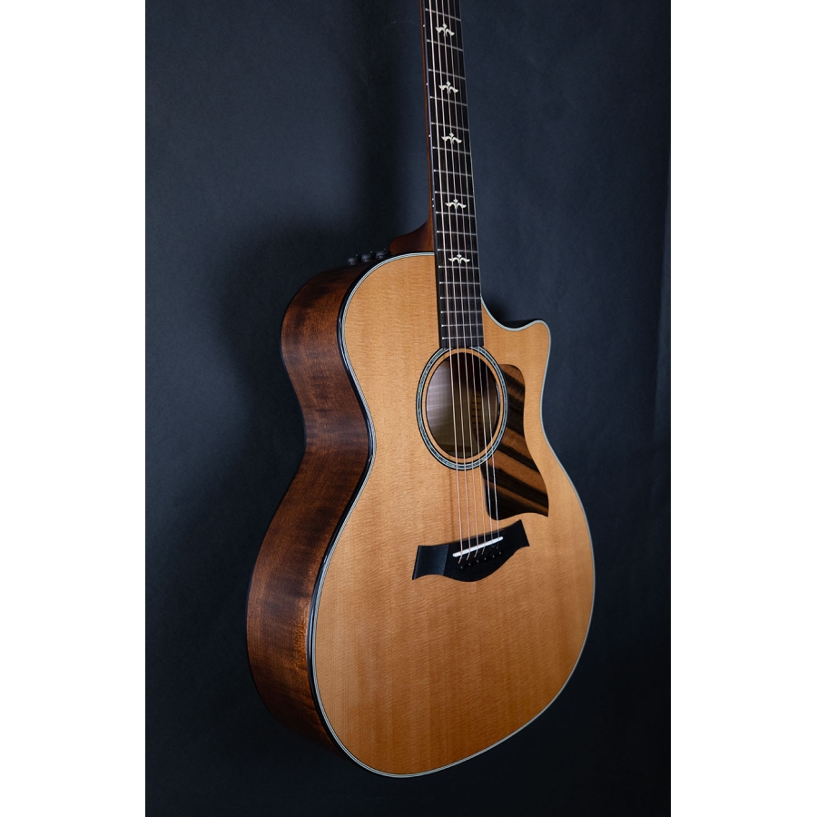 Taylor 614CE V-Class bracing