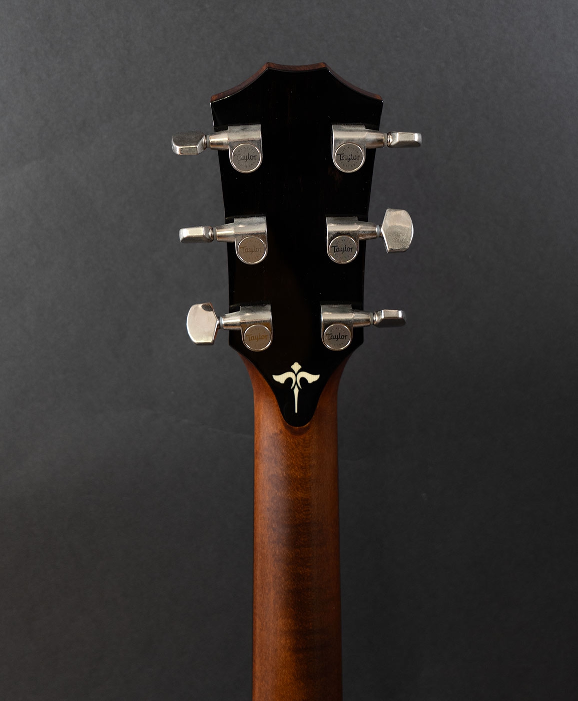 Taylor 614CE V-Class bracing