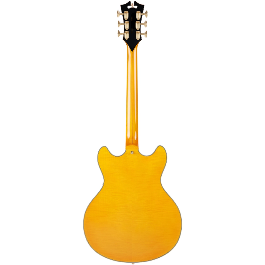 DAngelico Excel DC Satin Honey