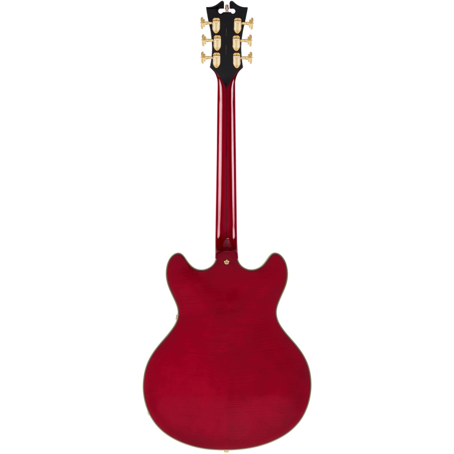 DAngelico Excel DC Trans Cherry