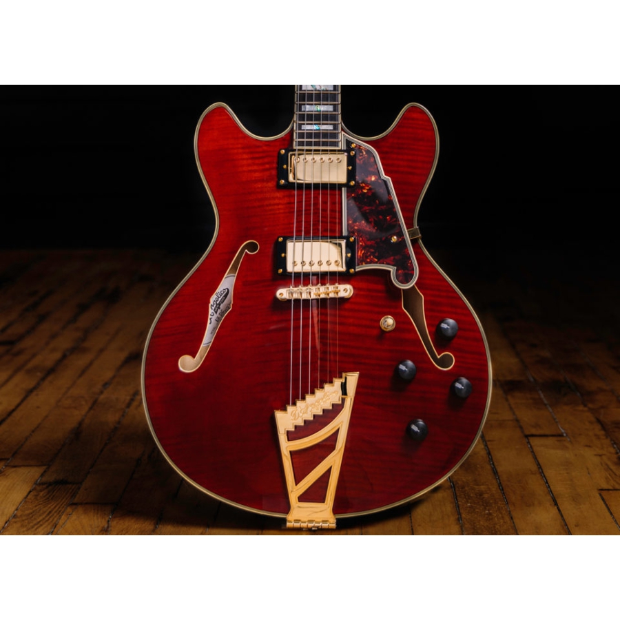 DAngelico Excel DC Trans Cherry